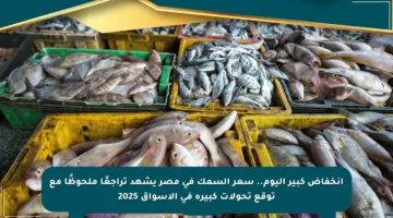 انخفاض كبير اليوم.. سعر السمك في مصر يشهد تراجعًا ملحوظًا مع توقع تحولات كبيرة في الأسواق 2025